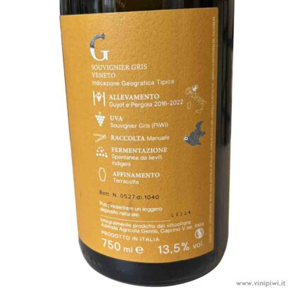 Souvignier Gris 2022, Gentili - immagine 2