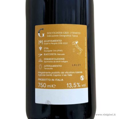 Souvignier Gris 2023, Gentili - immagine 2