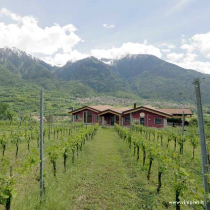 Cà de la Luce 2022, Rocche dei Vignali - immagine 3