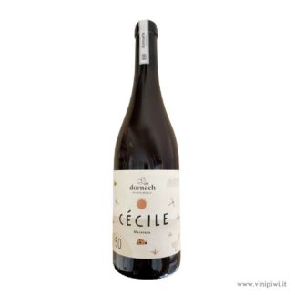 Cécile Souvignier Gris 2023, Dornach