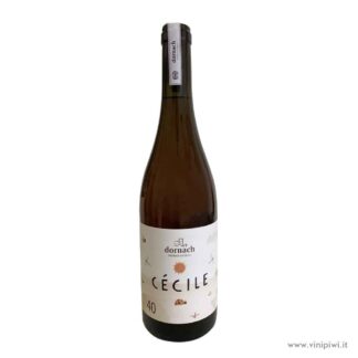Cécile Souvignier Gris 2022, Dornach