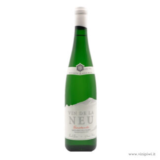 Vin de la Neu 2020, Nicola Biasi