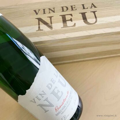 Vin de la Neu 2020, Nicola Biasi - immagine 2