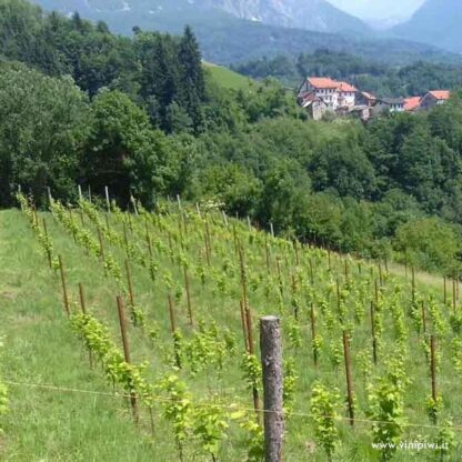 Soratesa 2021, Terre Alte d'Alpago - immagine 3