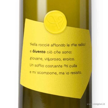 Divento 2022, Vinessa - immagine 2