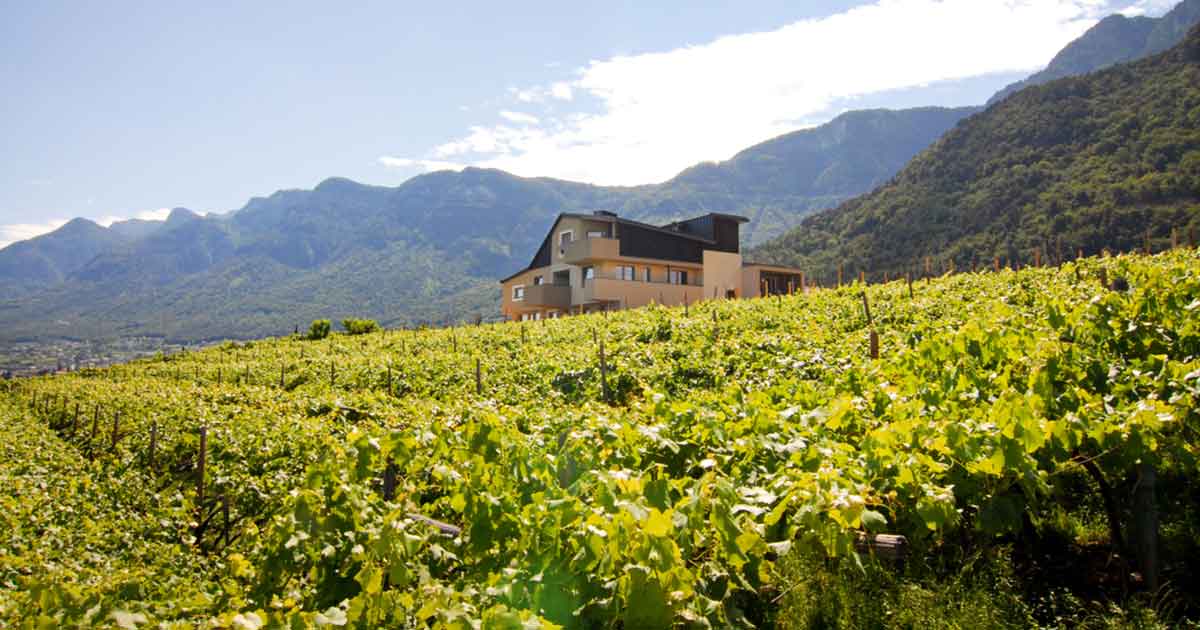 Foto_Tenuta_Vini_St_Quirinus_Caldaro_Alto_Adige