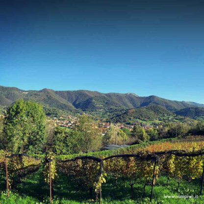 Amber 2023, Pietramatta - immagine 3