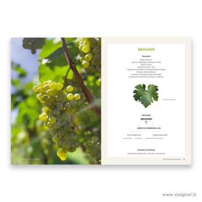 PIWI La viticoltura Resistente - - - E S A U R I T O - immagine 3