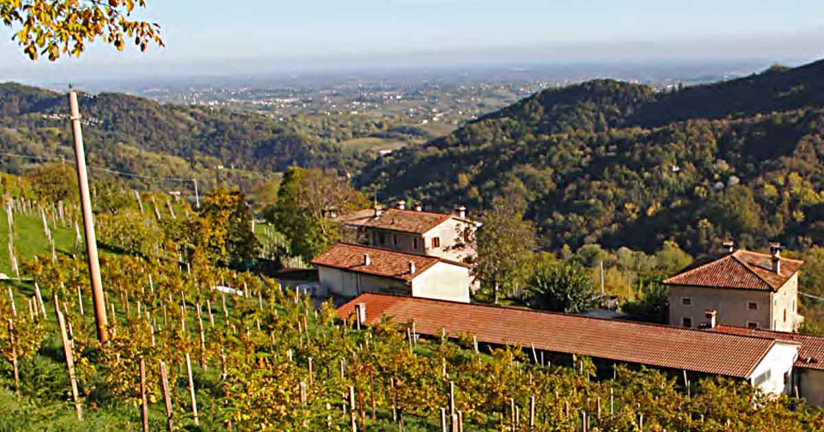 Foto_Vigneti_Col_Paré