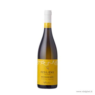 Sauvignon Nepis Resiliens 2022, Le Carline
