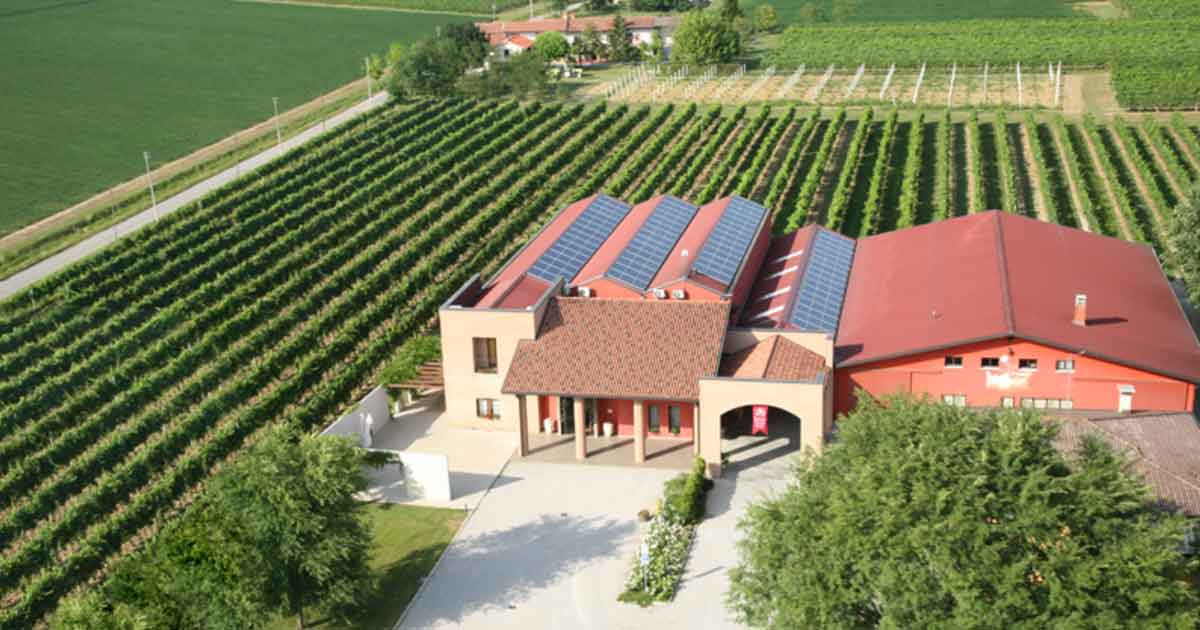 Foto_Società_Agricole_Le_Carline