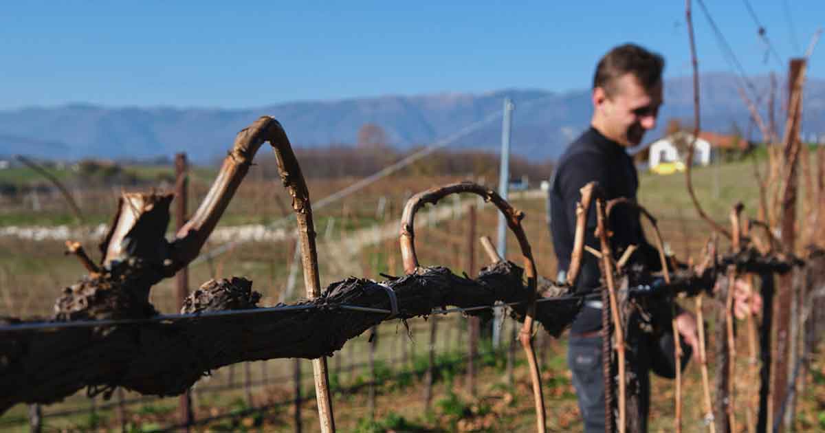 San_tiziano_foto-produttori_vino