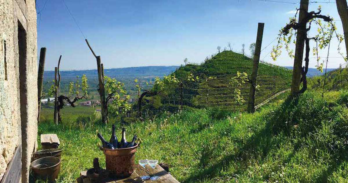 Foto dei Vigneti a Valdobbiadene della Azienda Agricola Colle Regina
