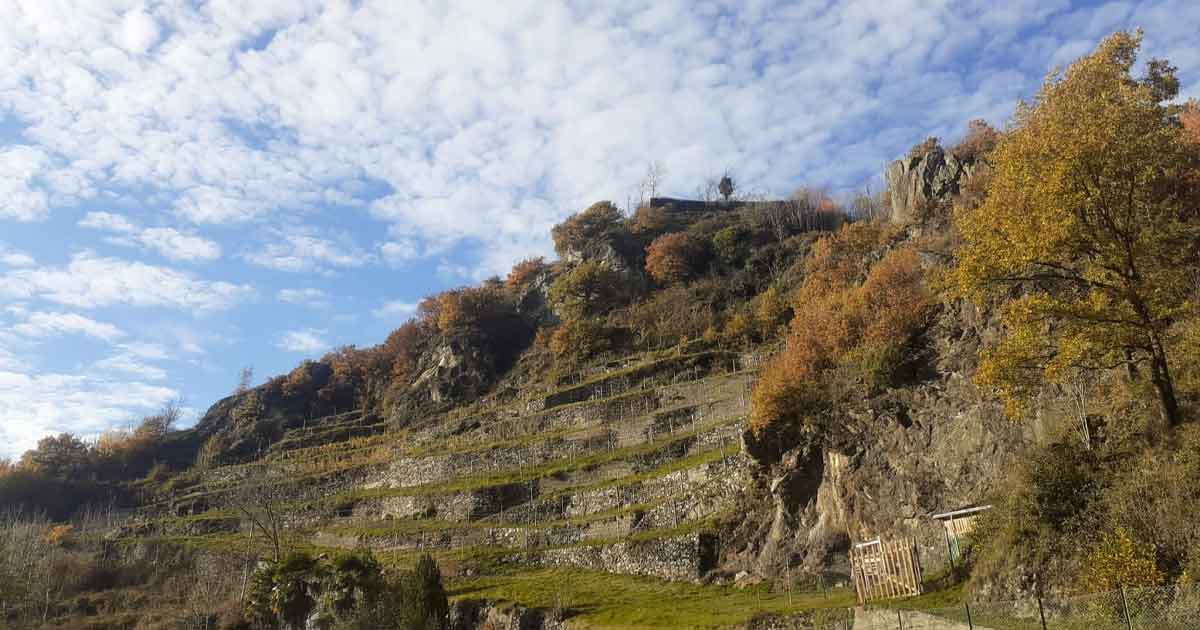 Le_Longhe_Azienda_dell'Alta_Valle_Camonica