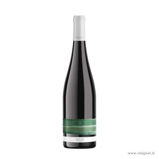 Vicus 2023, Cantina 837