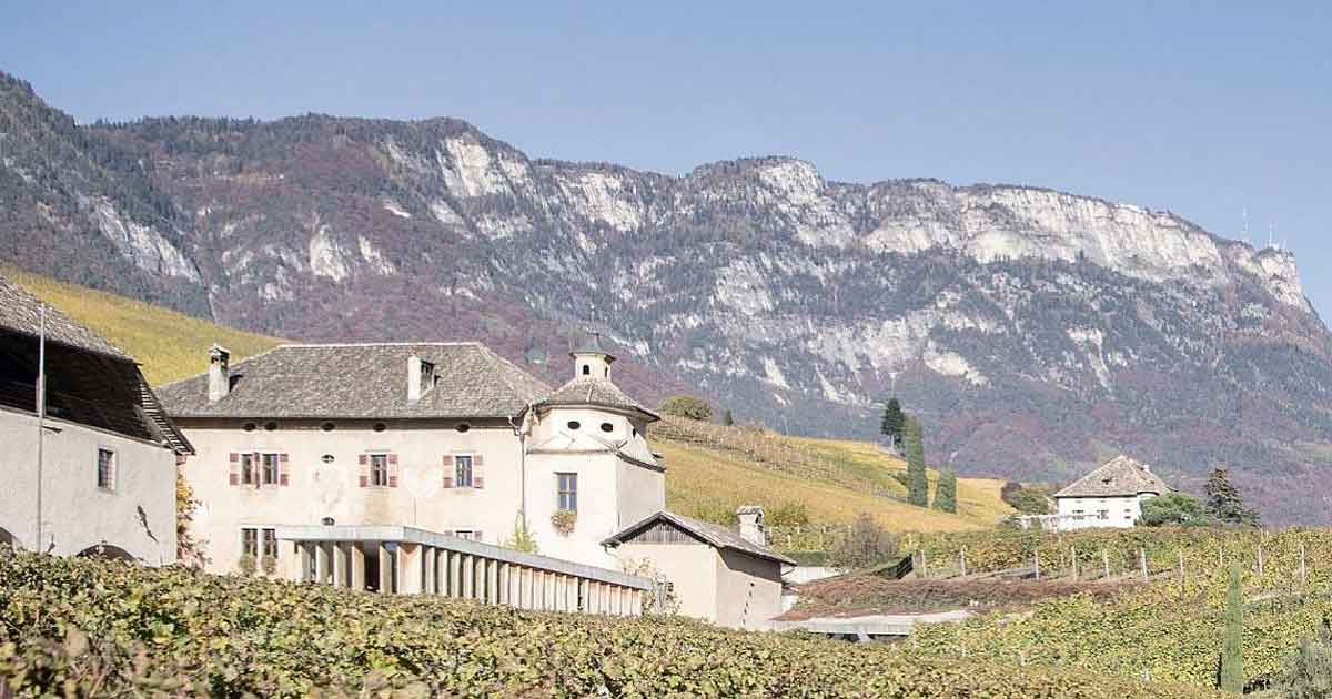 Foto Tenuta Manincor Cantina in Biodinamica