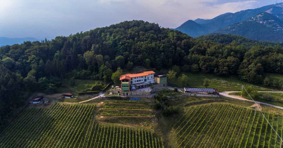 Azienda_Agricola_Tosca_Foto_aerea_vigneti