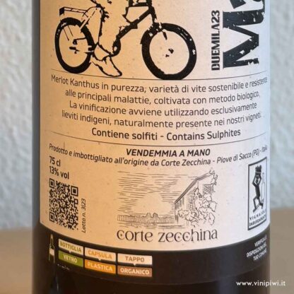 Mario 2023, Corte Zecchina - immagine 2