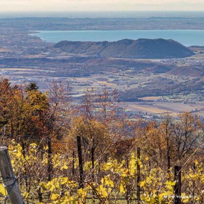 Tre Vie 2022, Monte Cimo - immagine 4