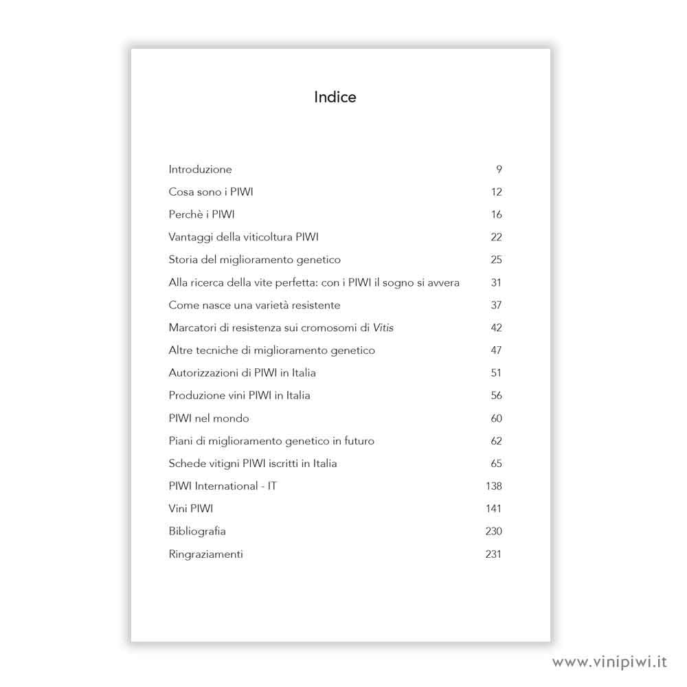 *I PIWI AD OGGI - immagine 2